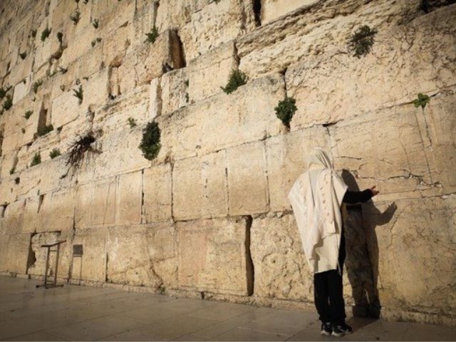צילום: יוסי זמיר, פלאש 90
