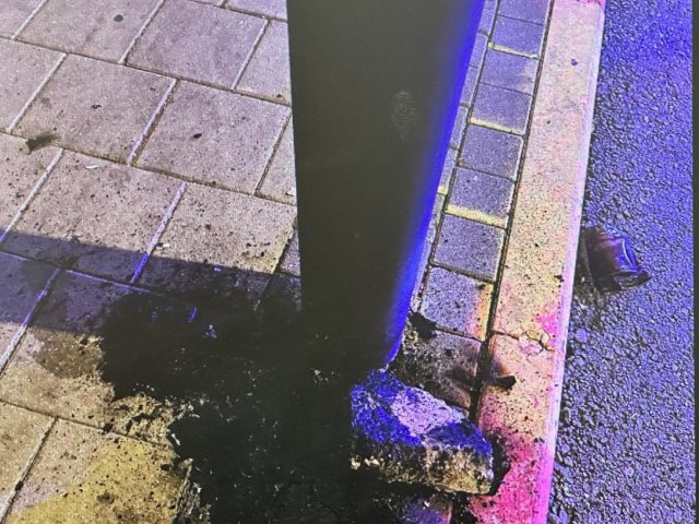 צילום: דוברות המשטרה 