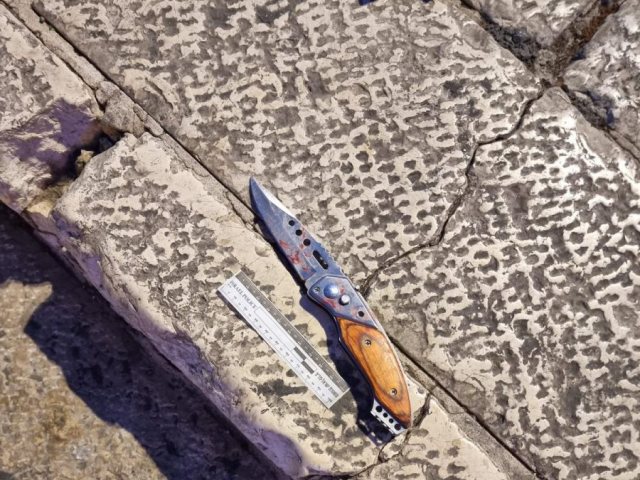 צילום: דוברות המשטרה