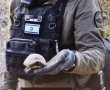 חדר את השריון: צב נפגע מרסיס בזירת יירוט