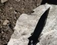 צילום: דוברות המשטרה 