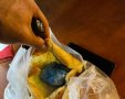 צילום: דוברות המשטרה 
