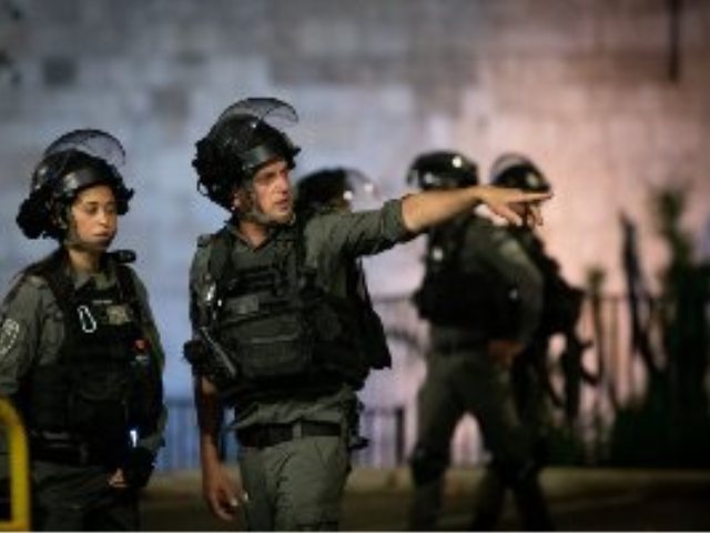 צילום: יונתן זינדל, פלאש 90