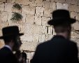 תמונה ללא תיאור