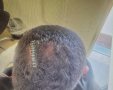 צילום: דוברות המשטרה