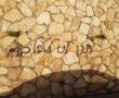 יממה לאחר הפיגוע: כתובות נאצה בפסגת זאב