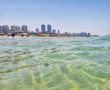 הסקר הוכיח: המדיניות הירוקה באשדוד עובדת