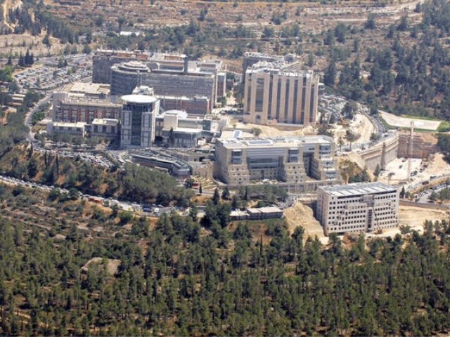 קרדיט צילום: אוסף התצלומים הלאומי - משה מילנר