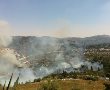 כ-300 דונמים של חורש טבעי נשרפו, כולל שמורת עין תלם