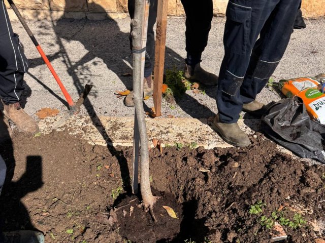 צילום: באדיבות עיריית ירושלים 