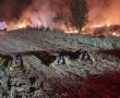 בגלל נפילת רקטה: שריפה פרצה בשטח פתוח דרומית לאשקלון