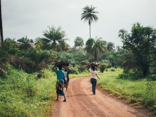 Photo by Annie Spratt on Unsplash