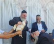 צפו: איש החסד האשדודי מתברך בכפרות מהאדמו"ר רבי יקותיאל