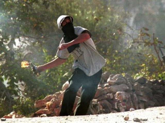 צילום: פלאש 90