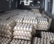 לקראת חג השבועות מפקחי משרד החקלאות תפסו 27,000 ביצים שהוחזקו בתנאים אסורים 