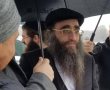הלכות ומנהגים לחג הפורים