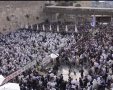 צילום: דוברות המשטרה 