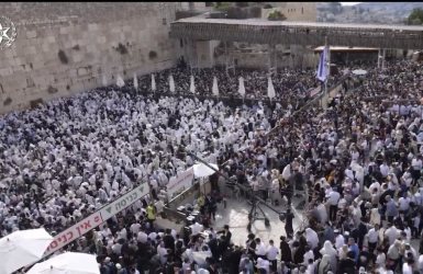 צילום: דוברות המשטרה 