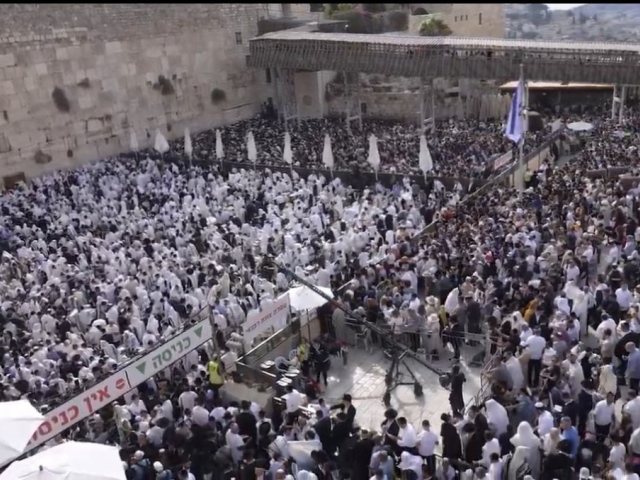 צילום: דוברות המשטרה 