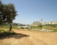 עמק הצבאים. צילום: ארנון בוסאני 