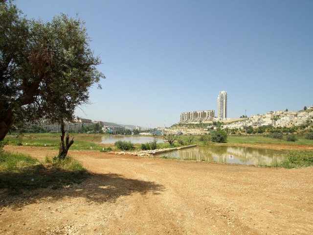 עמק הצבאים. צילום: ארנון בוסאני 