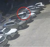צילום: דוברות המשטרה 