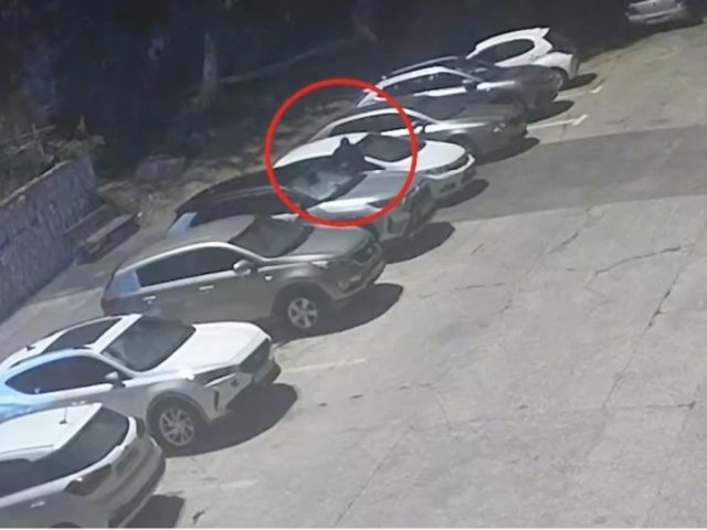 צילום: דוברות המשטרה 