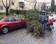 צילום: גבי פרידסון "חדשות 24"
