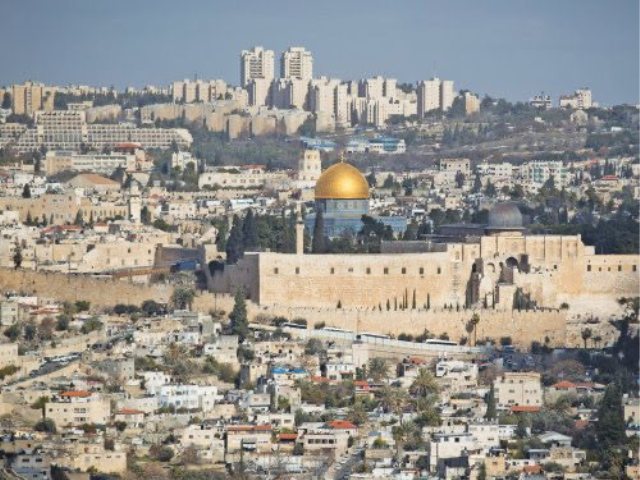 צילום: יונתן זינדל, פלאש 90
