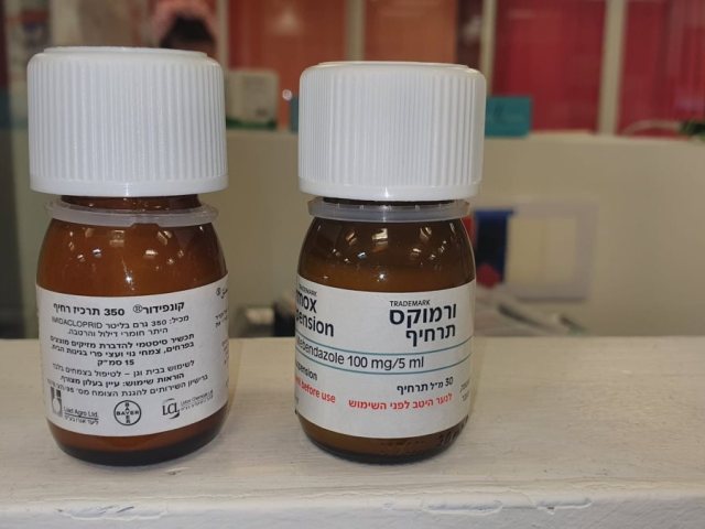 צילום: שערי צדק