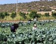 צילום: דוברות עיריית ירושלים 