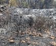 שריפת ענק השתוללה באזור בית שמש: חשד לרשלנות 