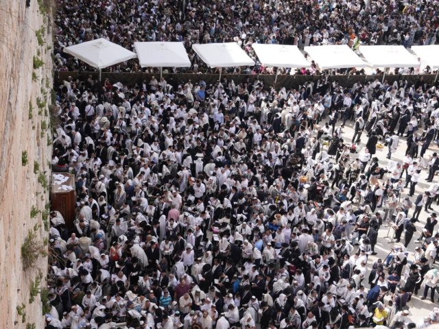 צילום: דוברות המשטרה