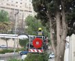 צוות כיבוי חילץ יונה שנלכדה בעץ