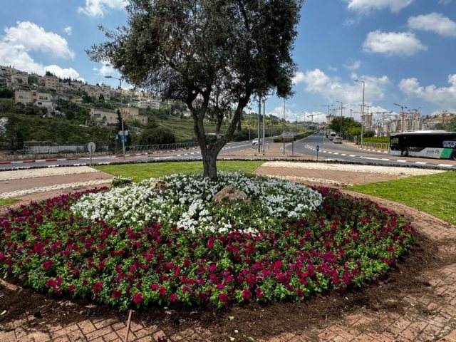 צילום: דוברות עיריית ירושלים 
