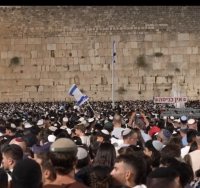 צילום: דוברות המשטרה 