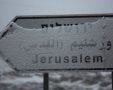 צילום: פלאש 90