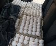 מפקחי משרד החקלאות סיכלו ניסיון הברחת 4,500 ביצים במחסום בירושלים