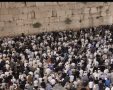 צילום: דוברות המשטרה 