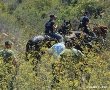 נמצאה גופת אדם ביער ירושלים