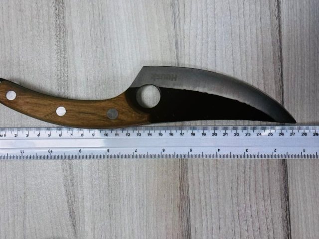 צילום: דוברות המשטרה 