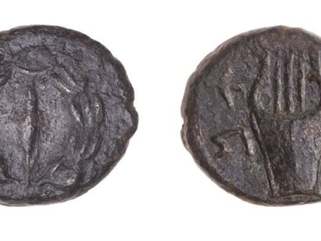 המטבעות שאותרו. צילום: רוגובסקי