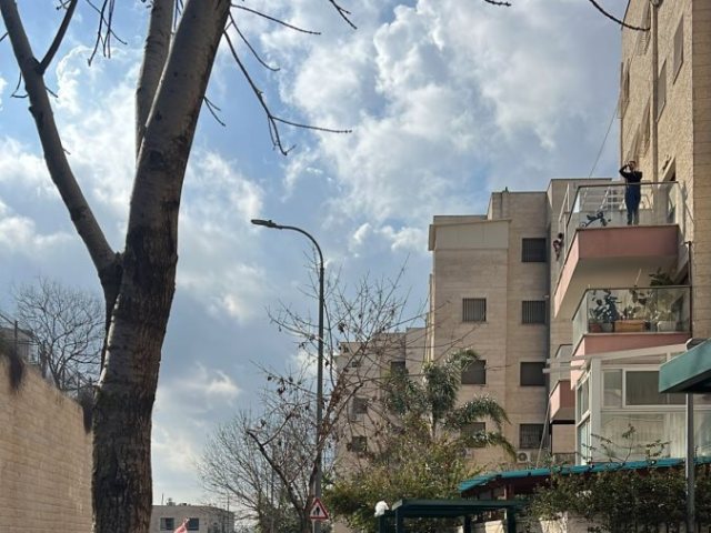 צילום: דוברות המשטרה 