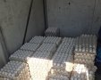 צילום: דוברות המשטרה 