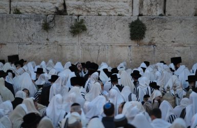 צילום: דוברות המשטרה 