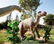 ממלכת הדינוזאורים בגן הבוטני 