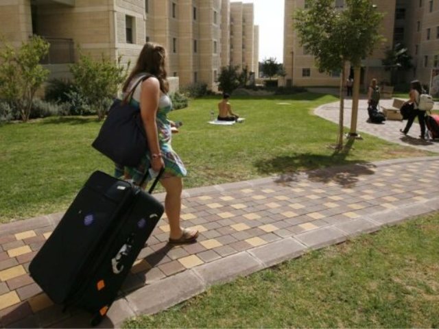 רכיון (צילום: מרים אלטשר/פלאש90)