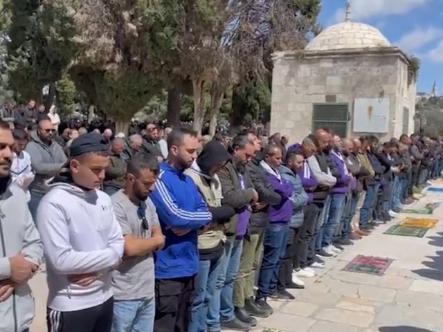 צילום: דוברות המשטרה 