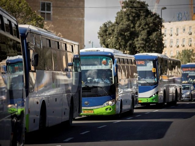 צילום: יונתן זינדל, פלאש 90