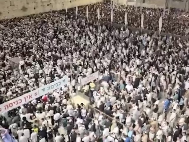 צילום: דוברות המשטרה 